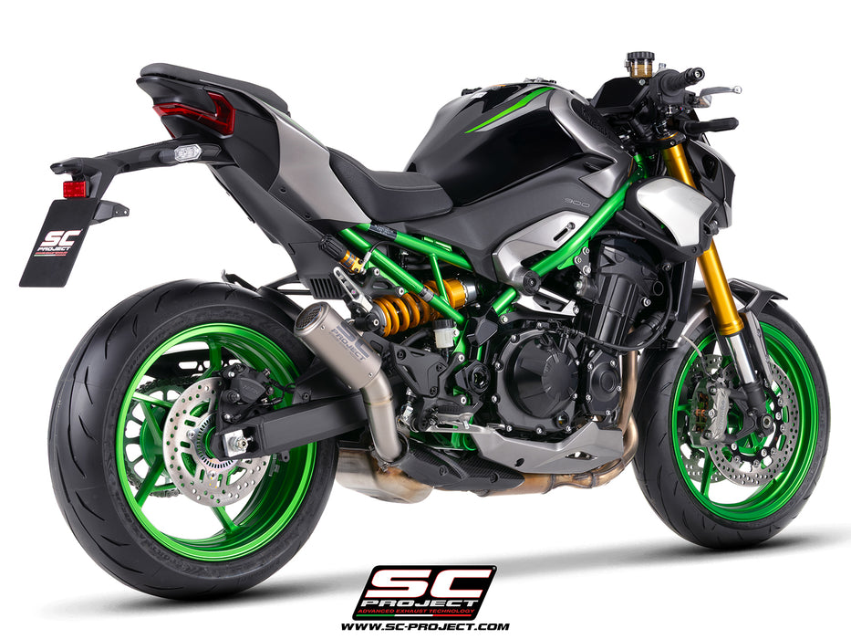 Kawasaki Z900 - Z900 A2 (2025 - 2026)