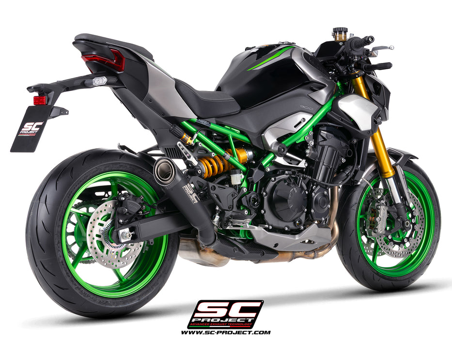 Kawasaki Z900 - Z900 A2 (2025 - 2026)