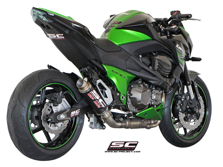 Kawasaki Z 800 (2012 - 2016) Exhaust System