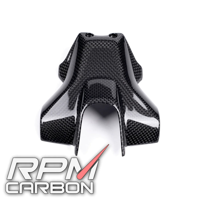 Ducati Hypermotard 950 Hypermotard 950 Carbon Fiber Plate Holder