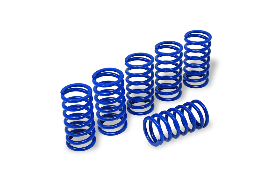 Clutch springs H45 - BMW