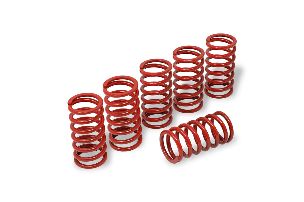 Clutch springs H45 - BMW