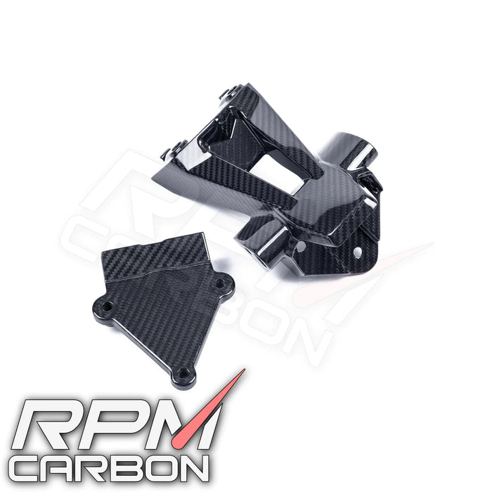 BMW S1000RR BMW S1000R 2020+ Carbon Fiber Plate Holder