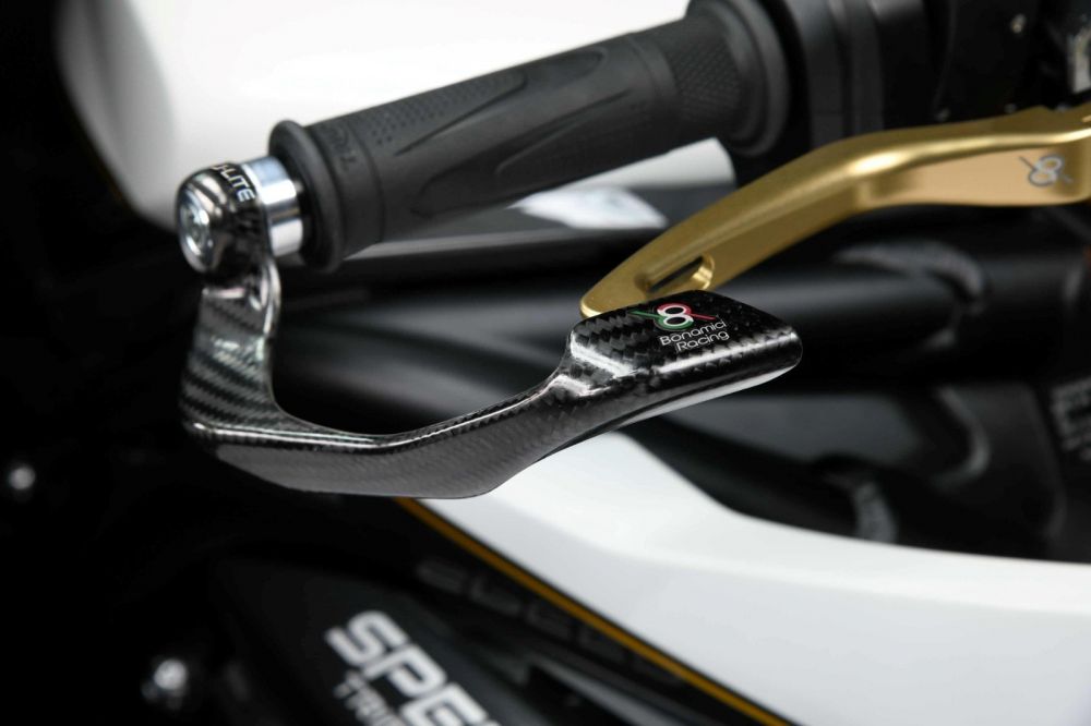 PROLITE Carbon Lever Guard