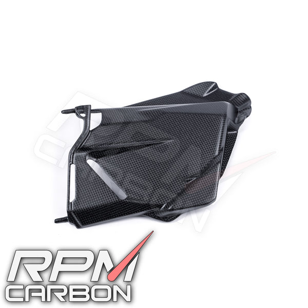 Ducati Streetfighter V2 Carbon Fiber Side Panel