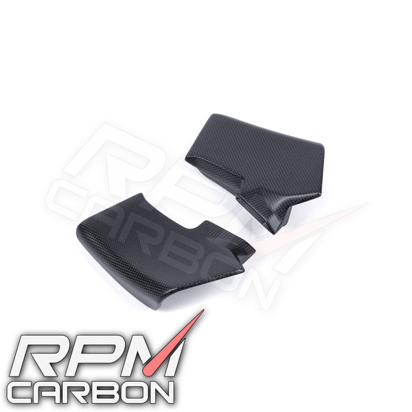 Ducati Streetfighter V4 2020+ Carbon Fiber Upper Winglets