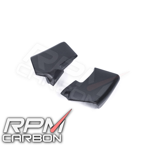 Ducati Streetfighter V4 2020+ Carbon Fiber Upper Winglets